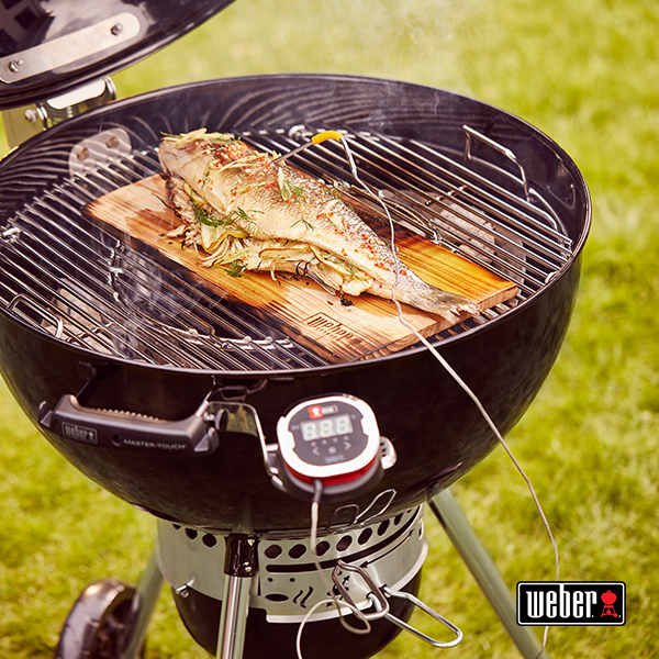 webergrill