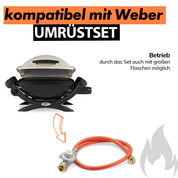 Weber Gasgrill Q 1000 Titan Art. Nr. 50060079 – Bild 3