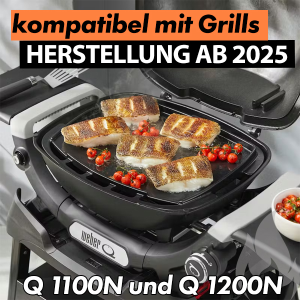 Weber Zubehör Full Size Grillplatte für Q1000N-Serie Art.Nr. 3400866 – Bild 2