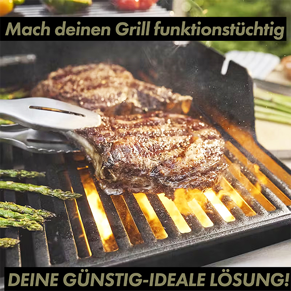 grillshop.at Weber Ersatzteil Brenner für Spirit 300er Serie inkl. Schrauben Art.Nr. GS013 / 69788 – Bild 6