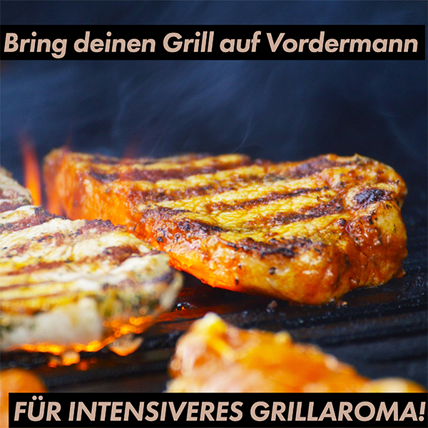 grillshop.at Weber Ersatzteil Flavorizer Bars aus Edelstahl für Spirit 200er Serie Art.Nr. GS023 – Bild 4